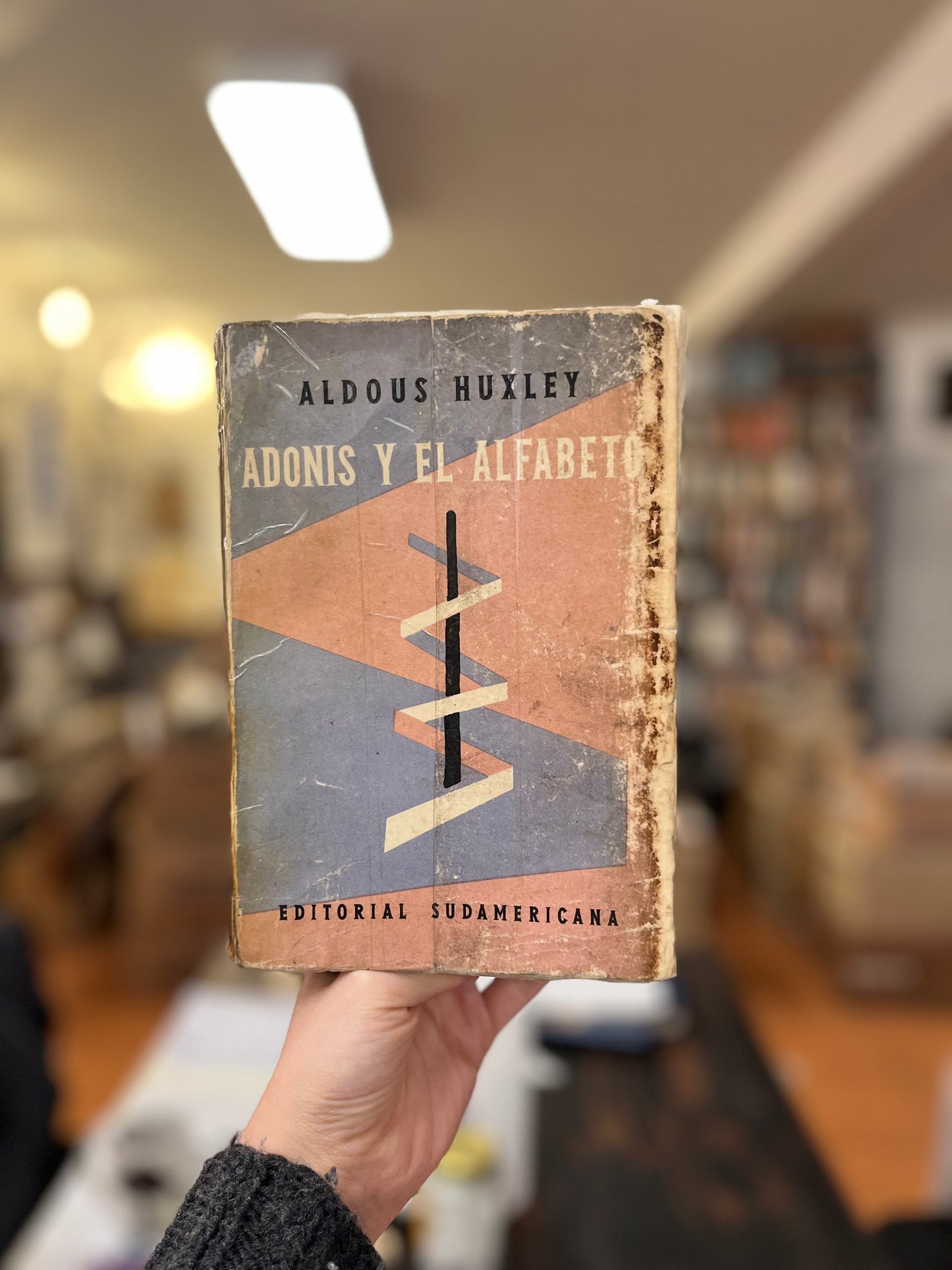 Adonis y el alfabeto. Libro rescatado del incendio