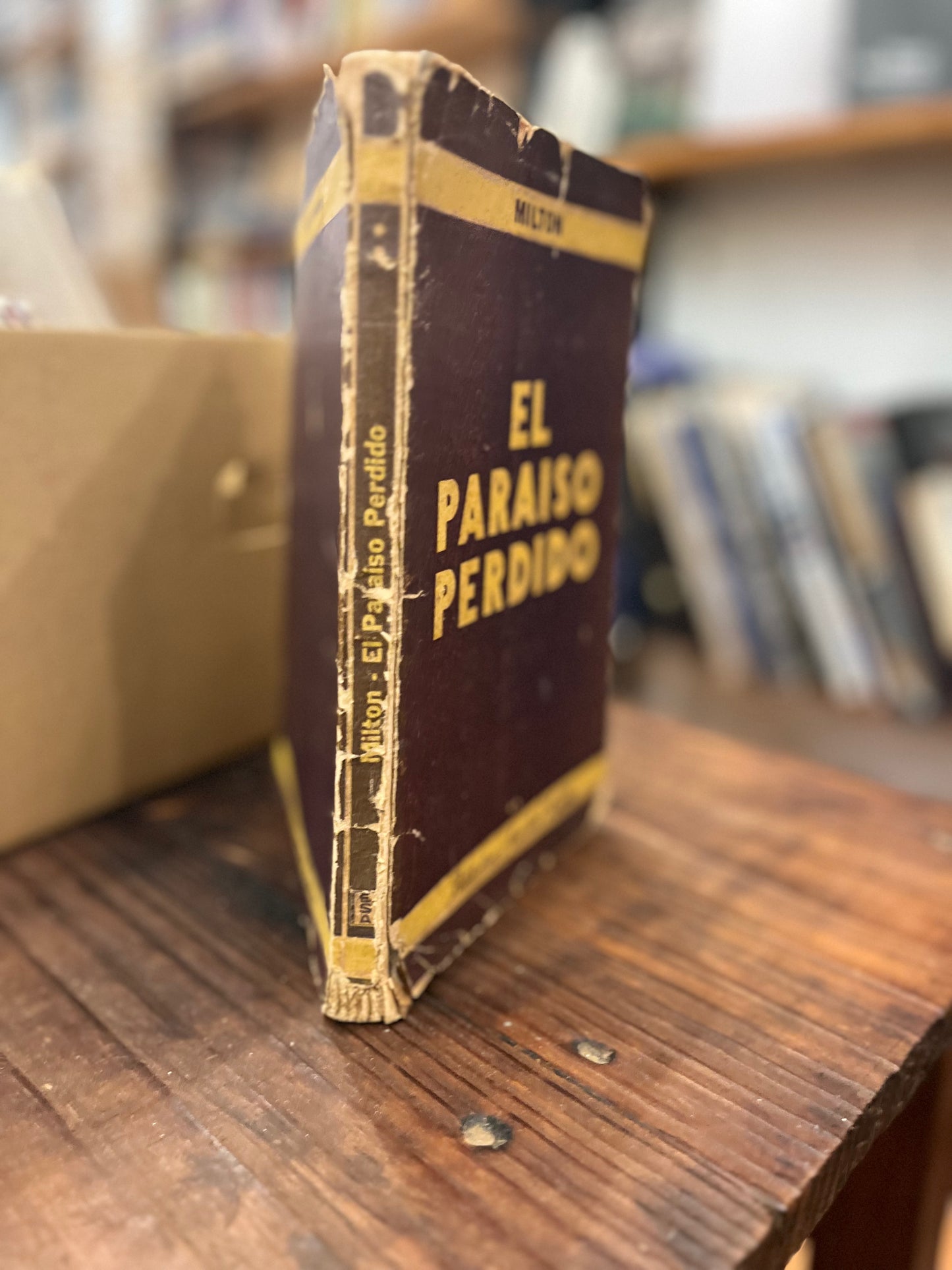 Paraíso perdido tomo 2. Libro rescatado del incendio.