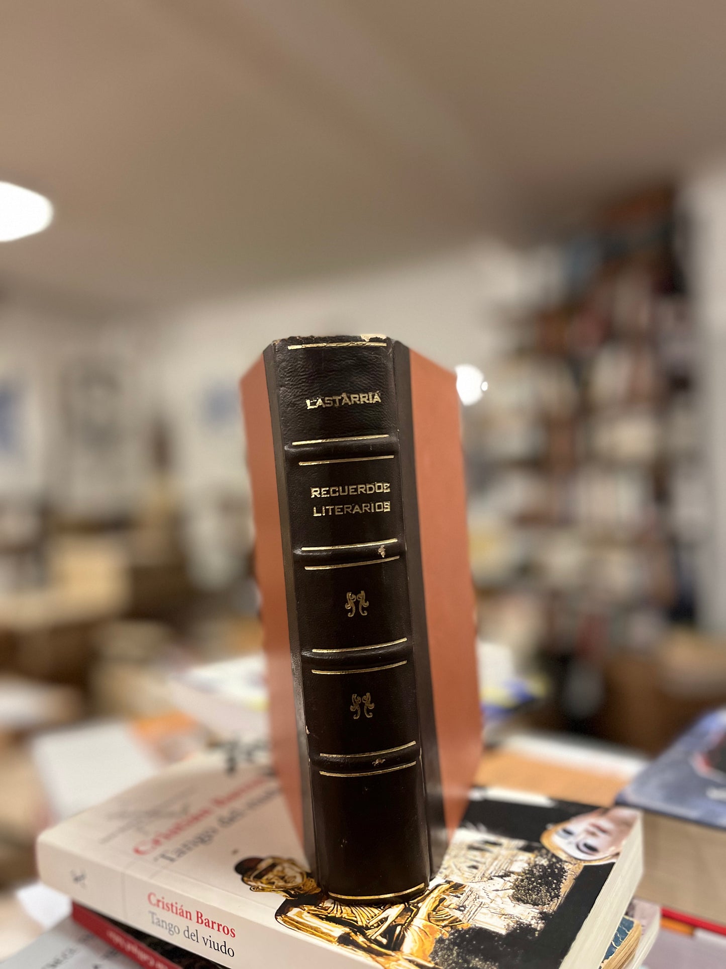 Recuerdos literarios. Libro rescatados del incendio