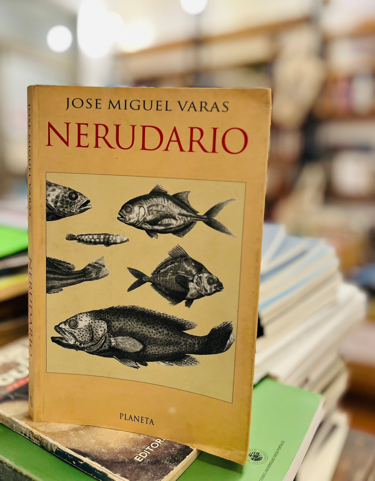 Nerudiano. Libro rescatado del incendio
