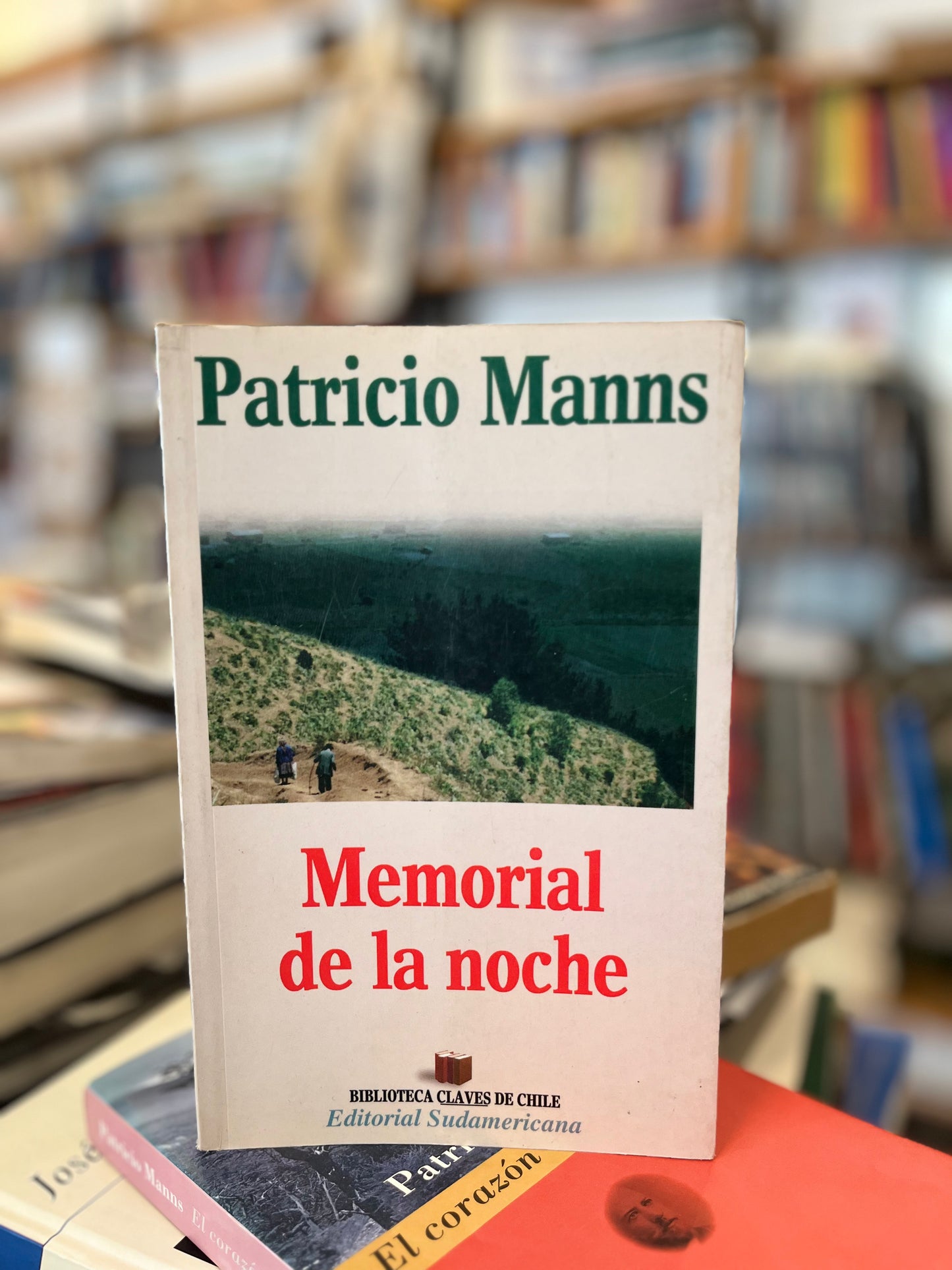 Memorial de la noche. Novela basada en las actas del Alto Biobio