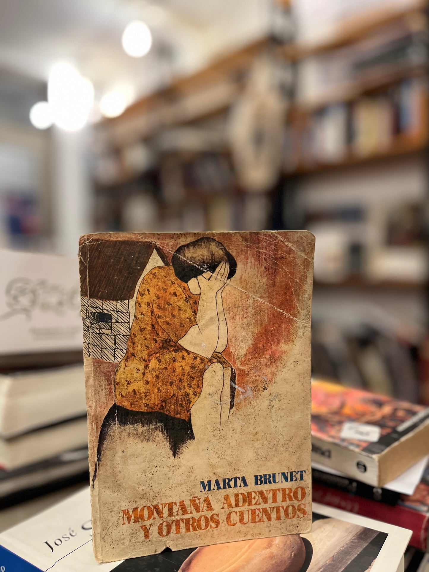 Montaña adentro y otros cuentos. Libro rescatado del incendio