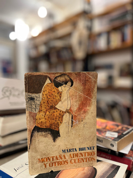 Montaña adentro y otros cuentos. Libro rescatado del incendio