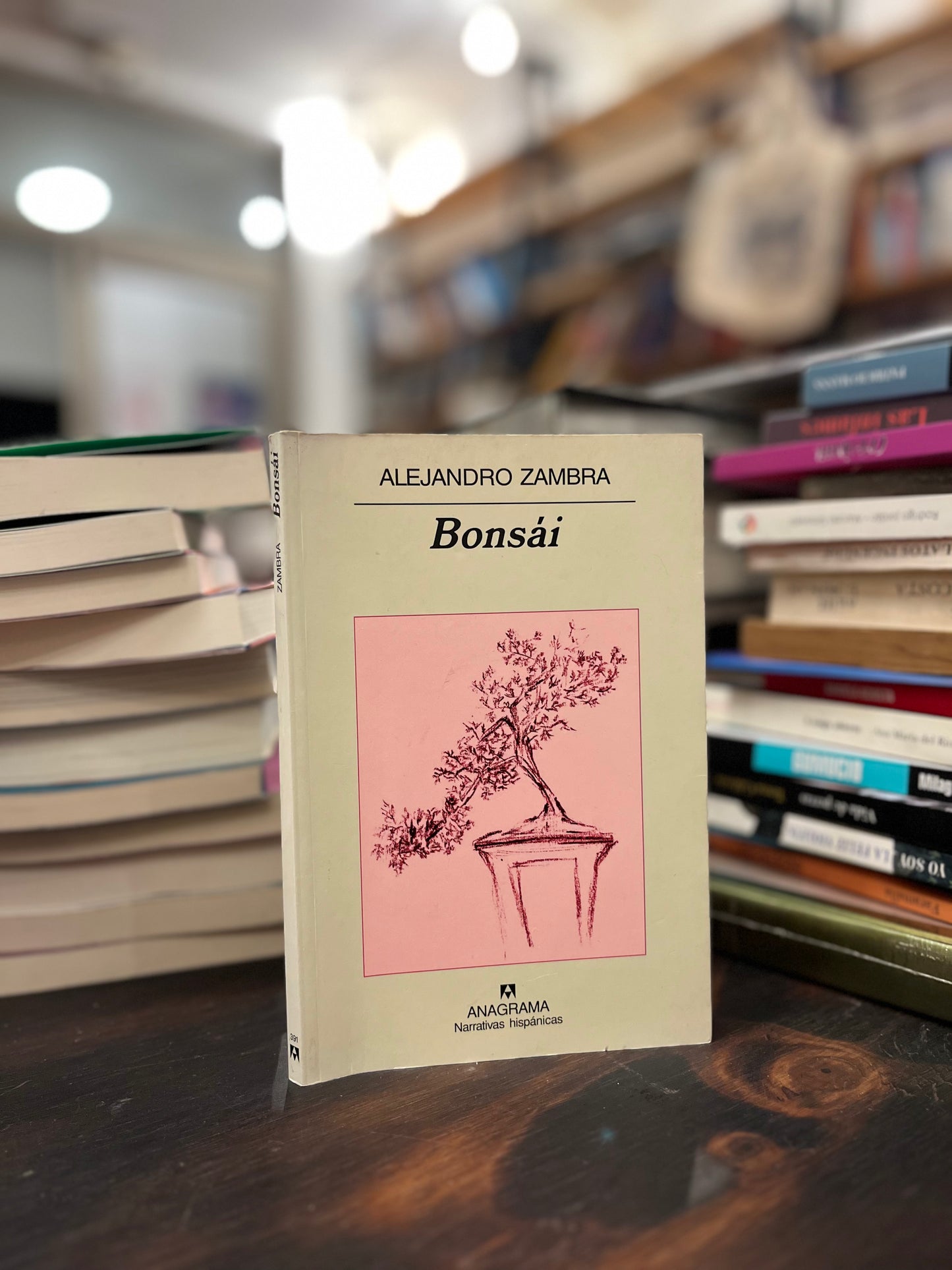 Bonsái