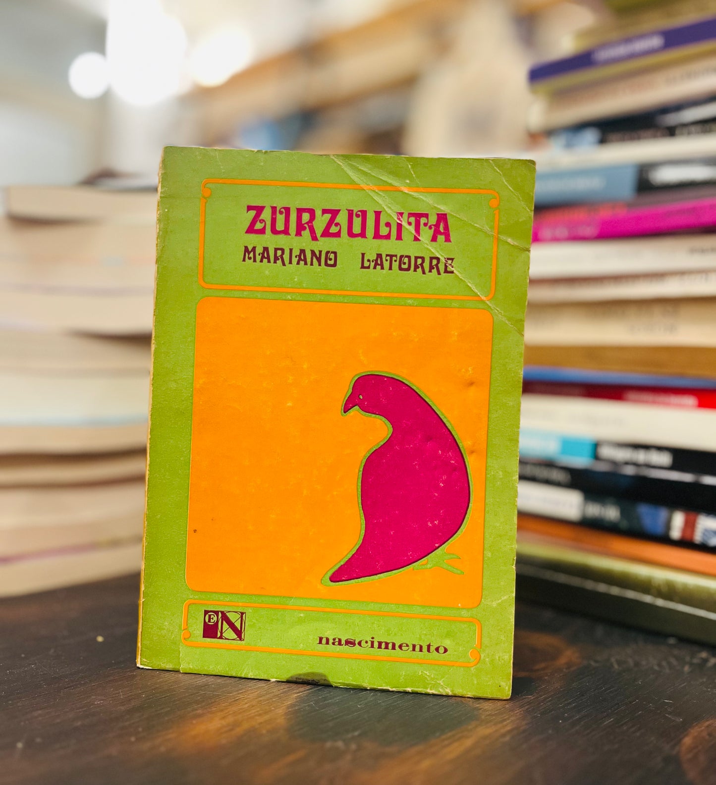 Zurzulita. Libro rescatado del incendio