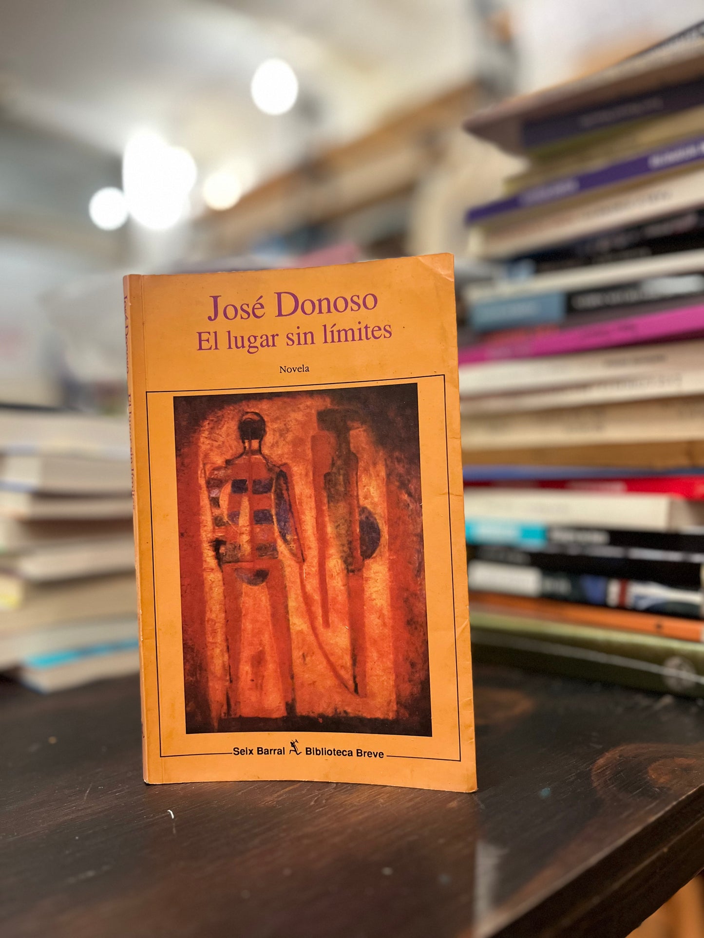 El lugar sin límites. Libro rescatado del incendio