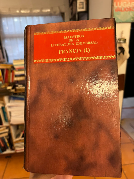 Maestros de la literatura Francia. Libro rescatado del incendio