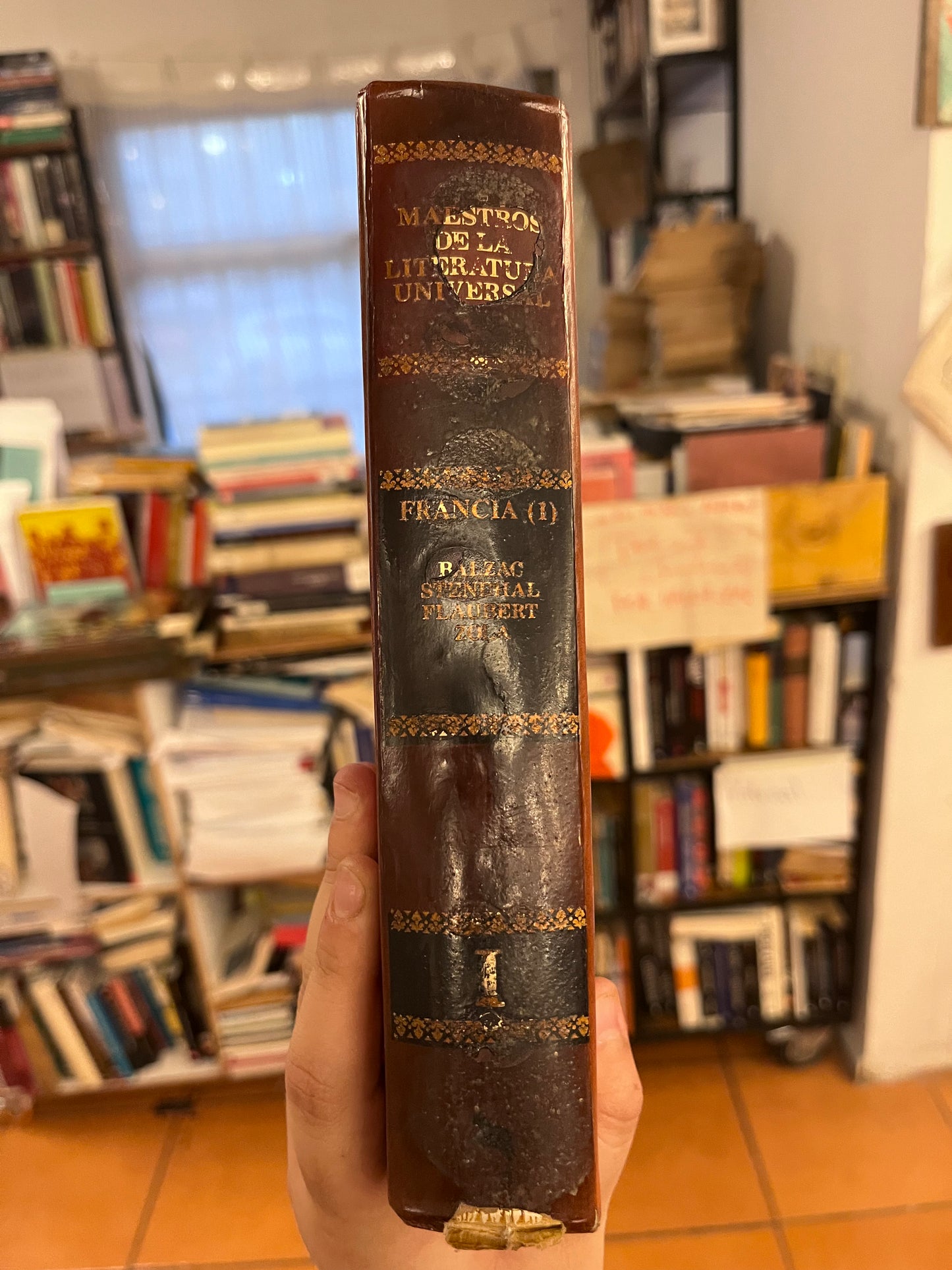 Maestros de la literatura Francia. Libro rescatado del incendio