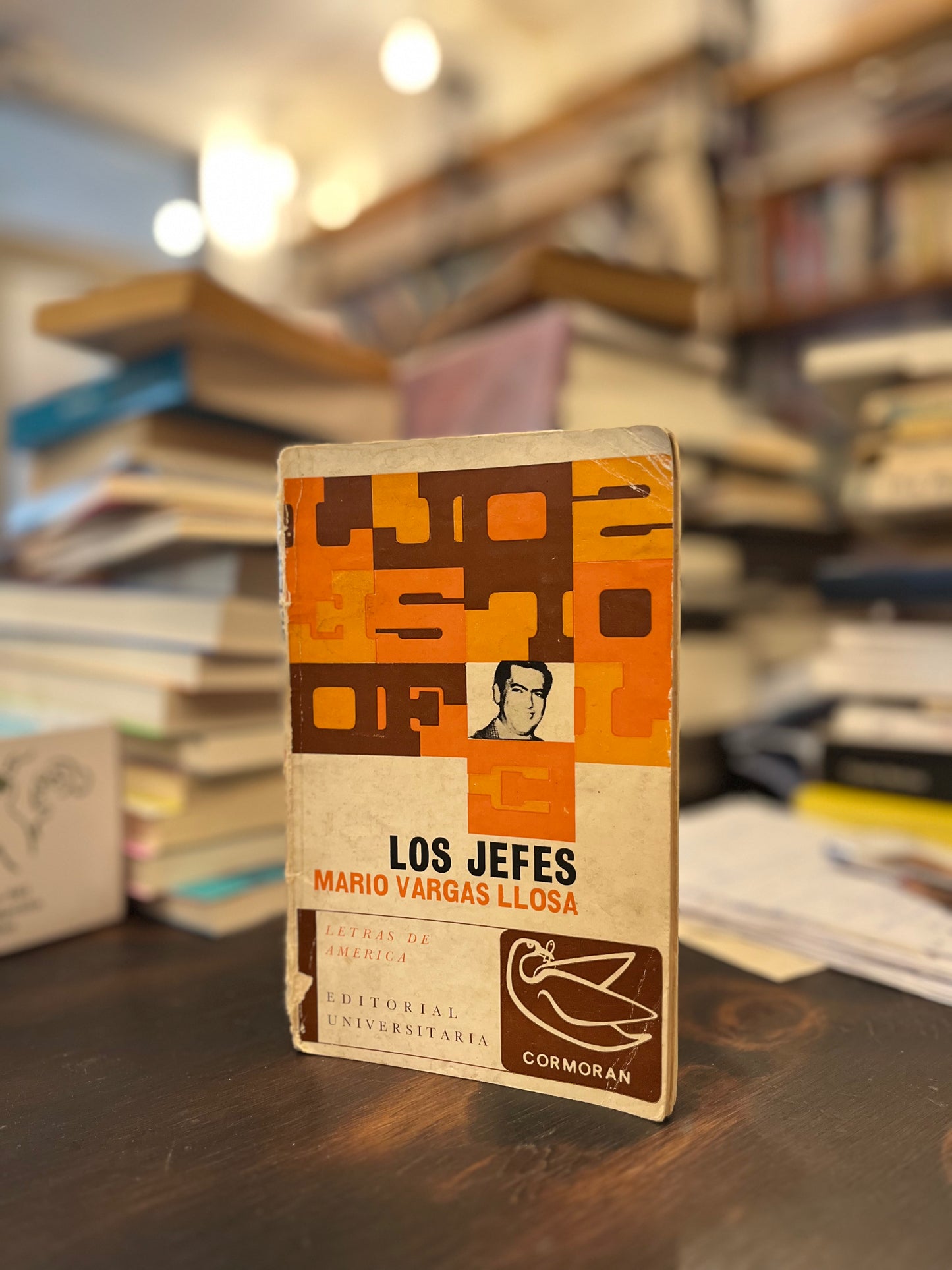 Los jefes. Colección Cormoran