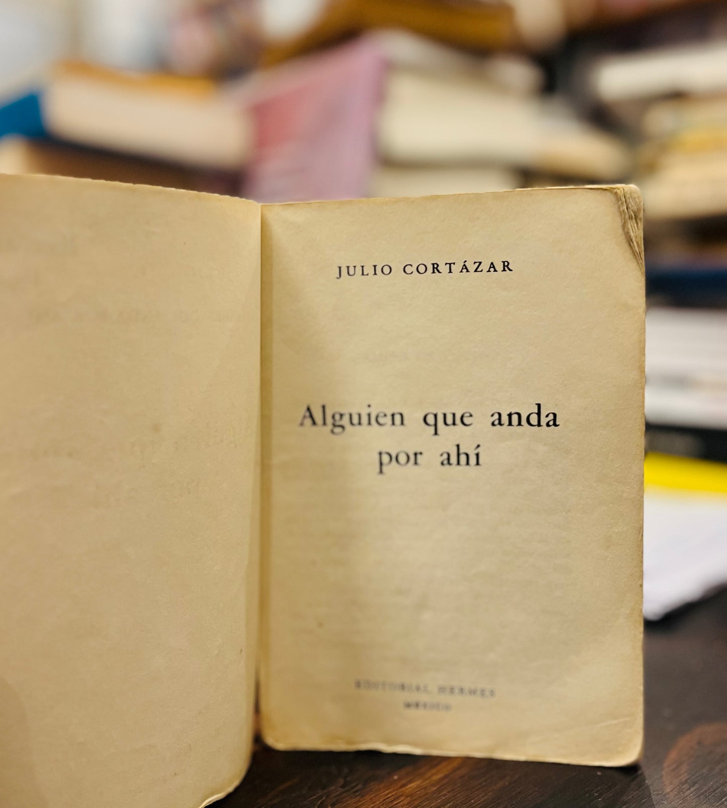 Alguien anda por ahí. Primera edición