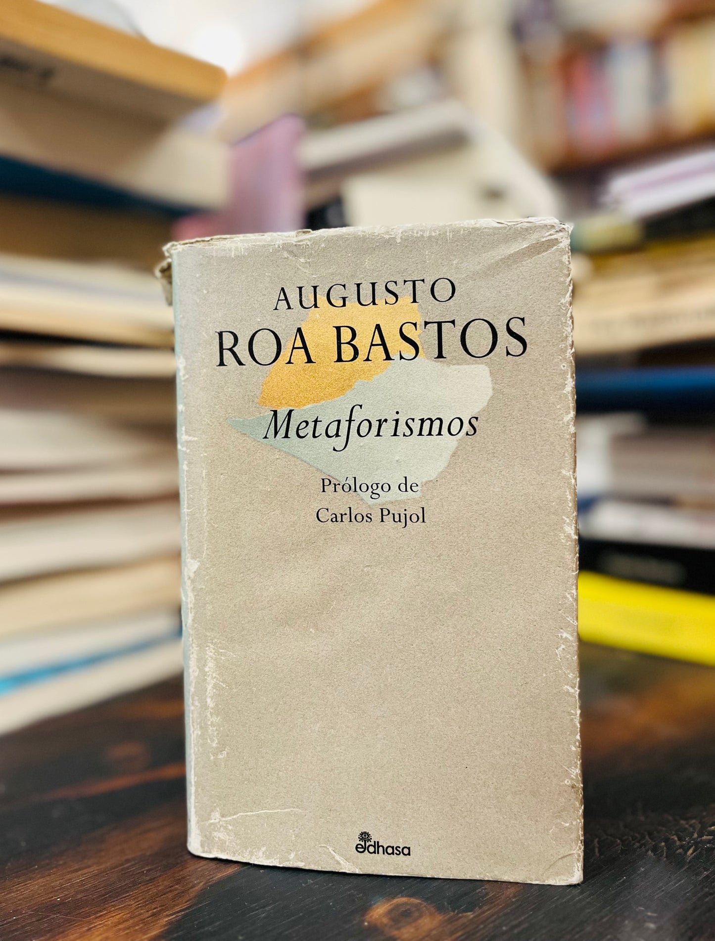 Metaforismos. Libro rescatado del incendio