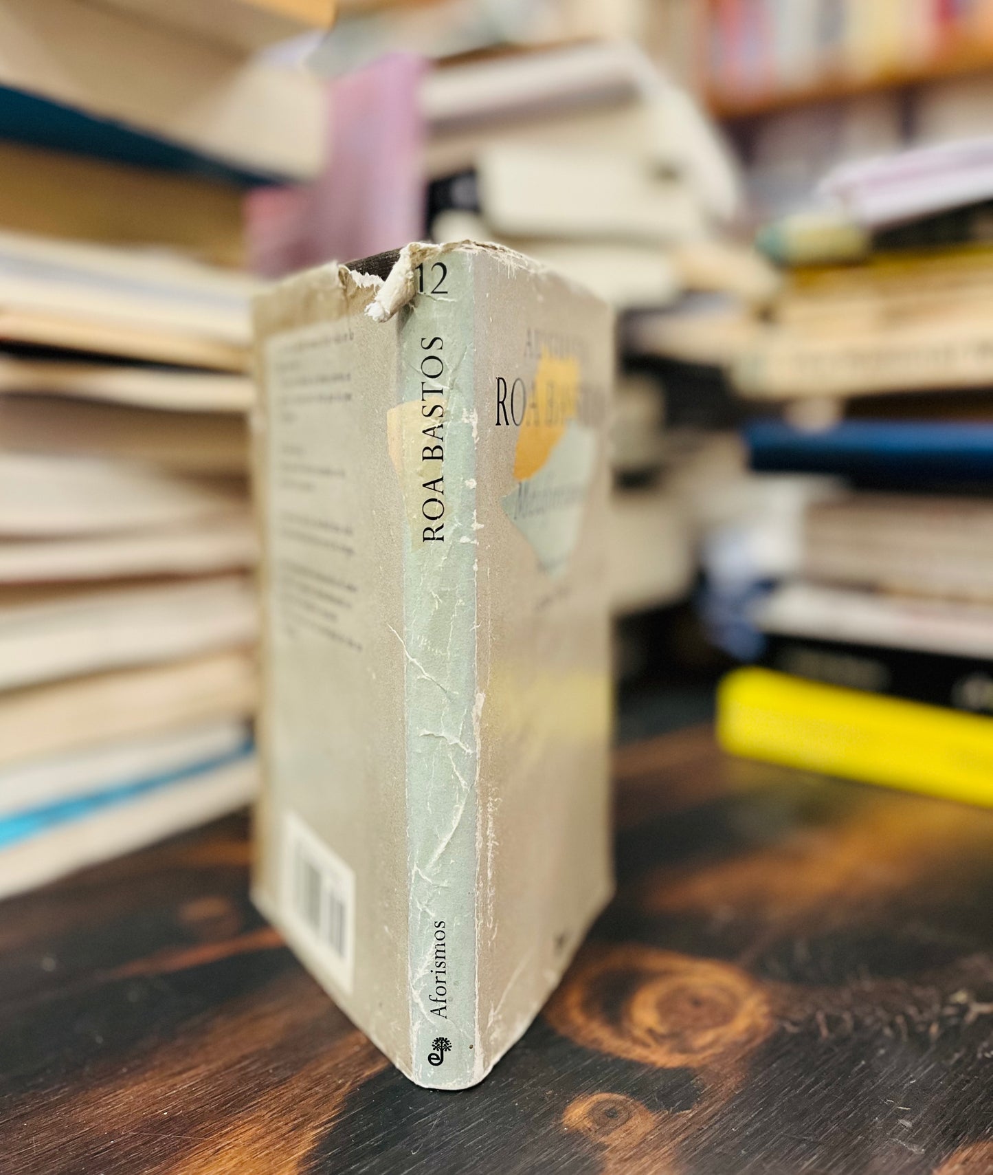 Metaforismos. Libro rescatado del incendio