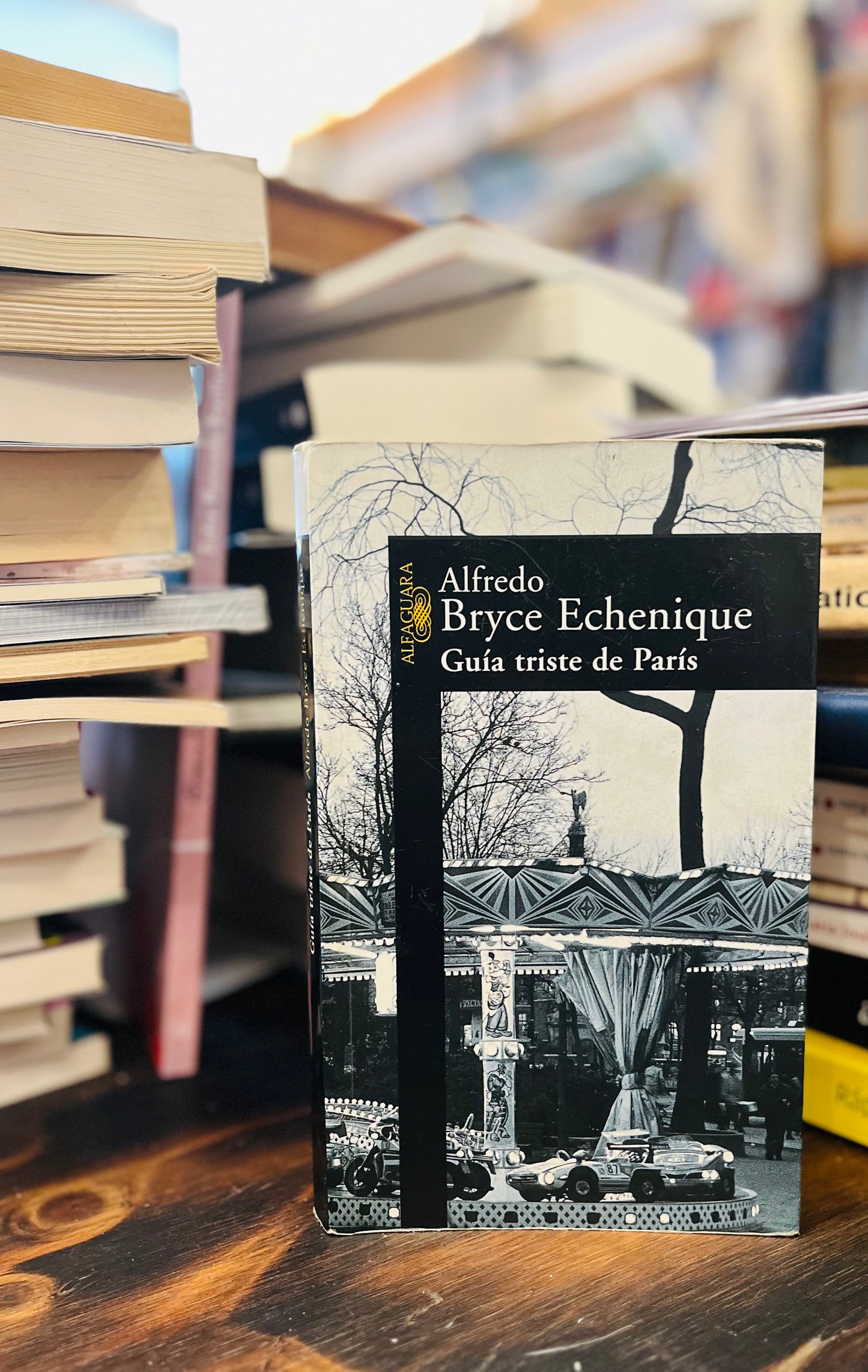 Guía triste de París. Libro rescatado del incendio
