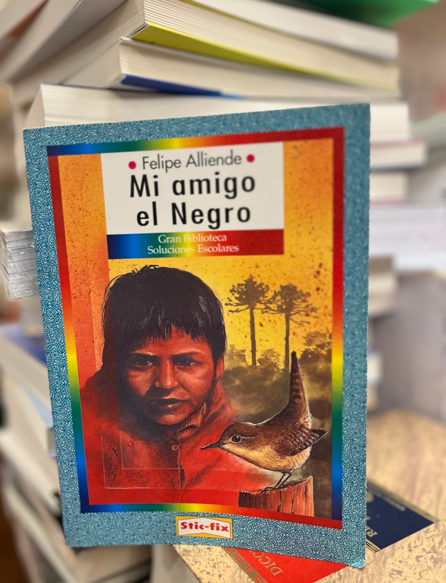 Mi amigo el Negro