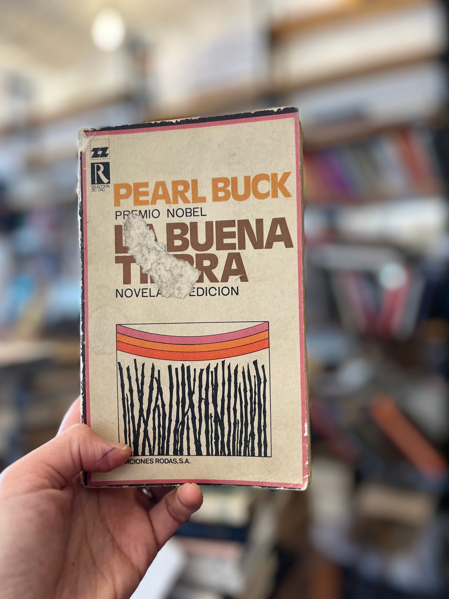 La Buena Tierra. Libro rescatado del incendio