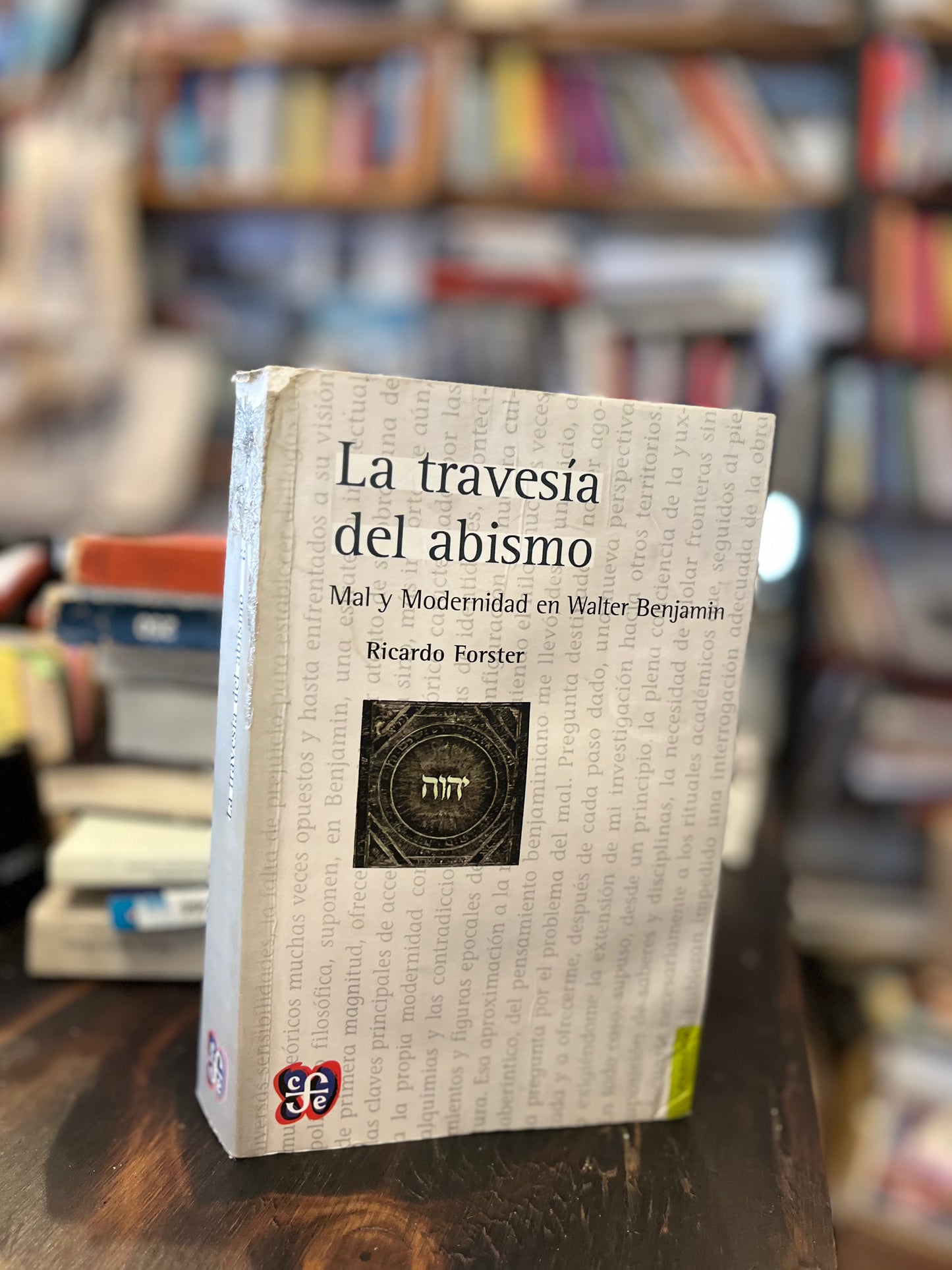 La travesía del abismo. Libro rescatado del incendio