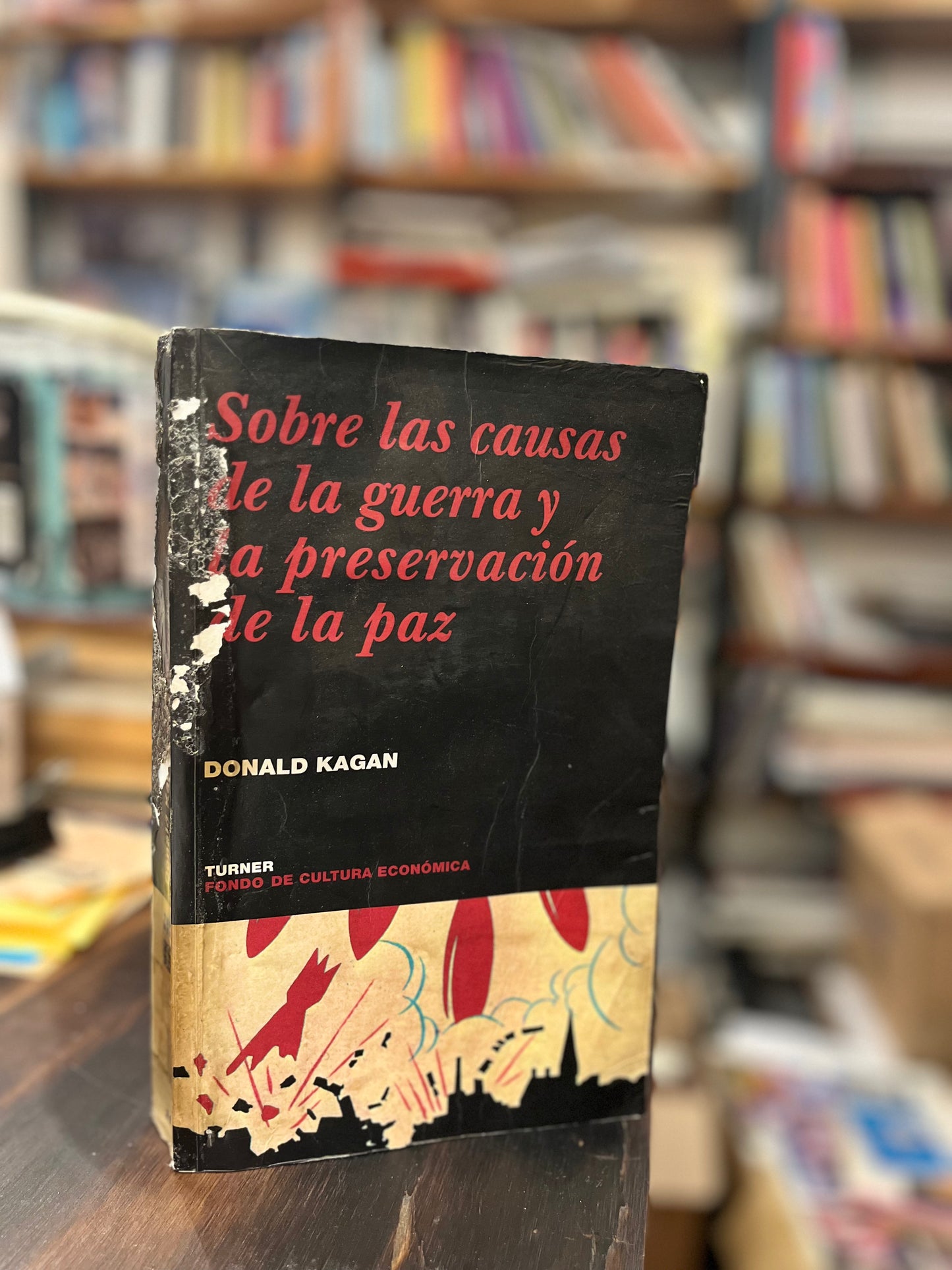 Sobre las causas de la guerra y la preservación de la paz. Libro rescatado del incendio