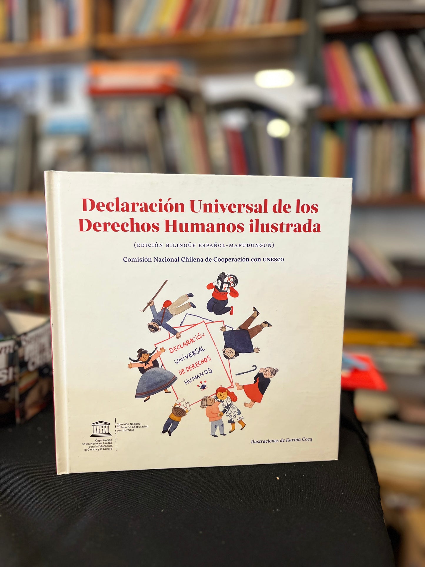 Declaración Universal de los Derechos Humanos ilustrada