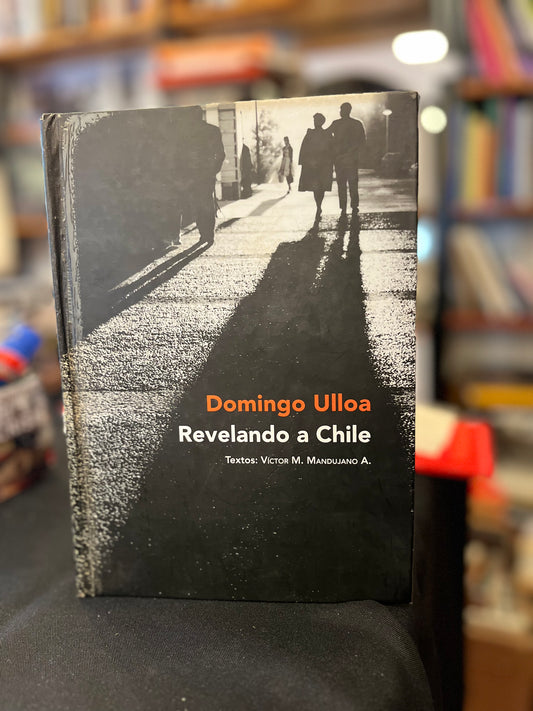Revelando a Chile. Libro rescatado del incendio