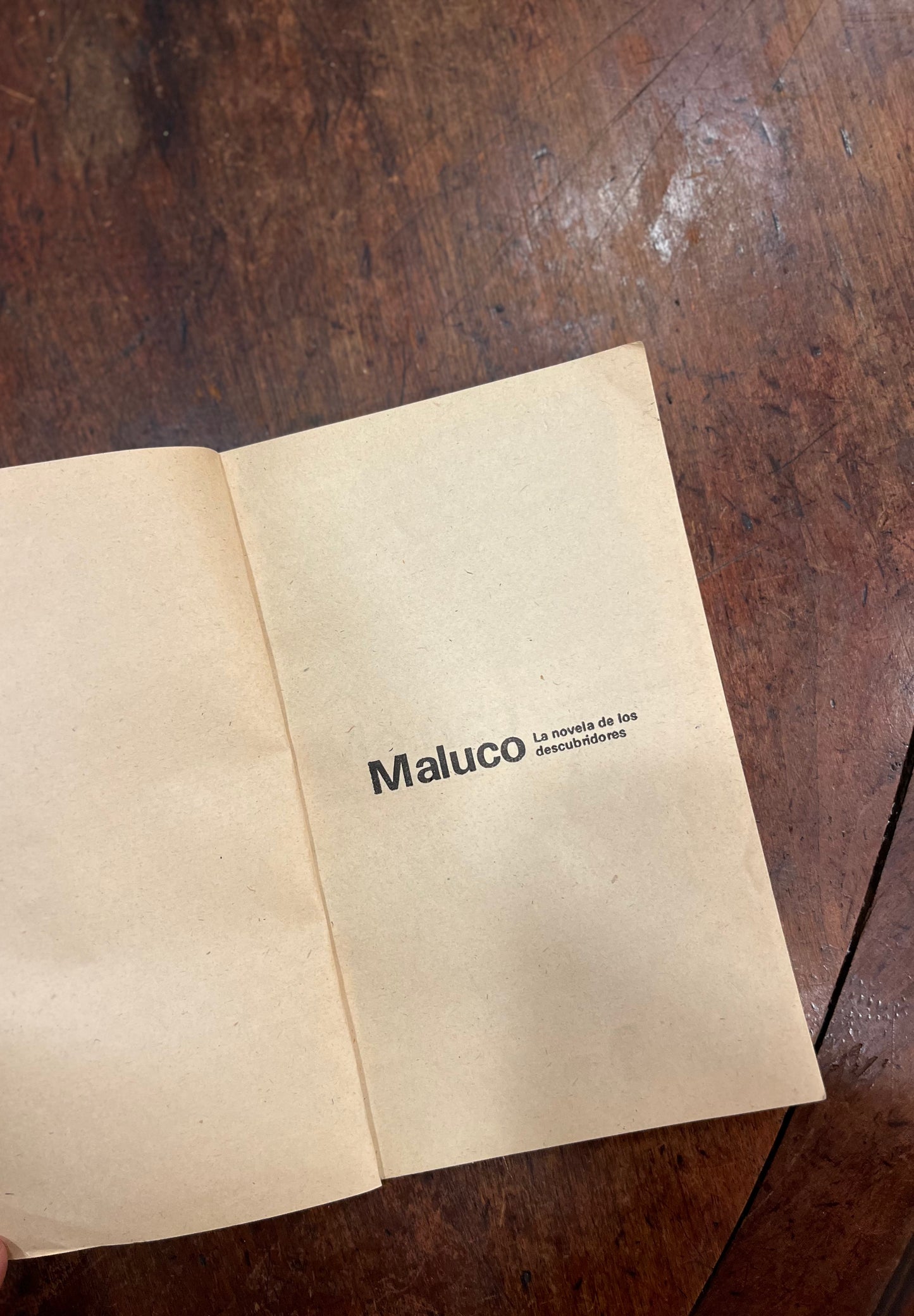 Maluco. La novela de los descubridores.