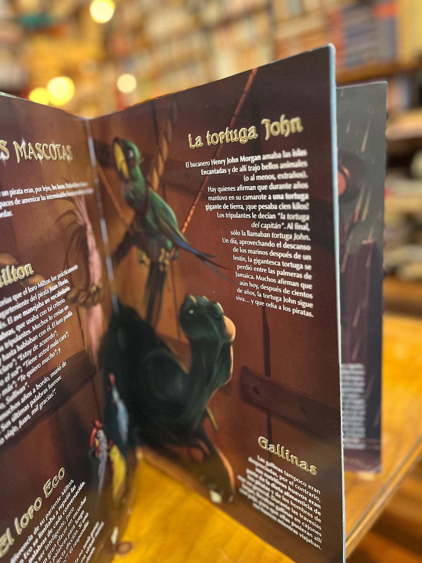 El apasionante mundo de los piratas