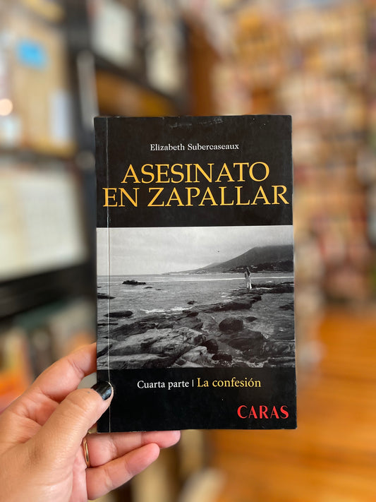 Asesinato en Zapallar. Cuarta parte: La confesión