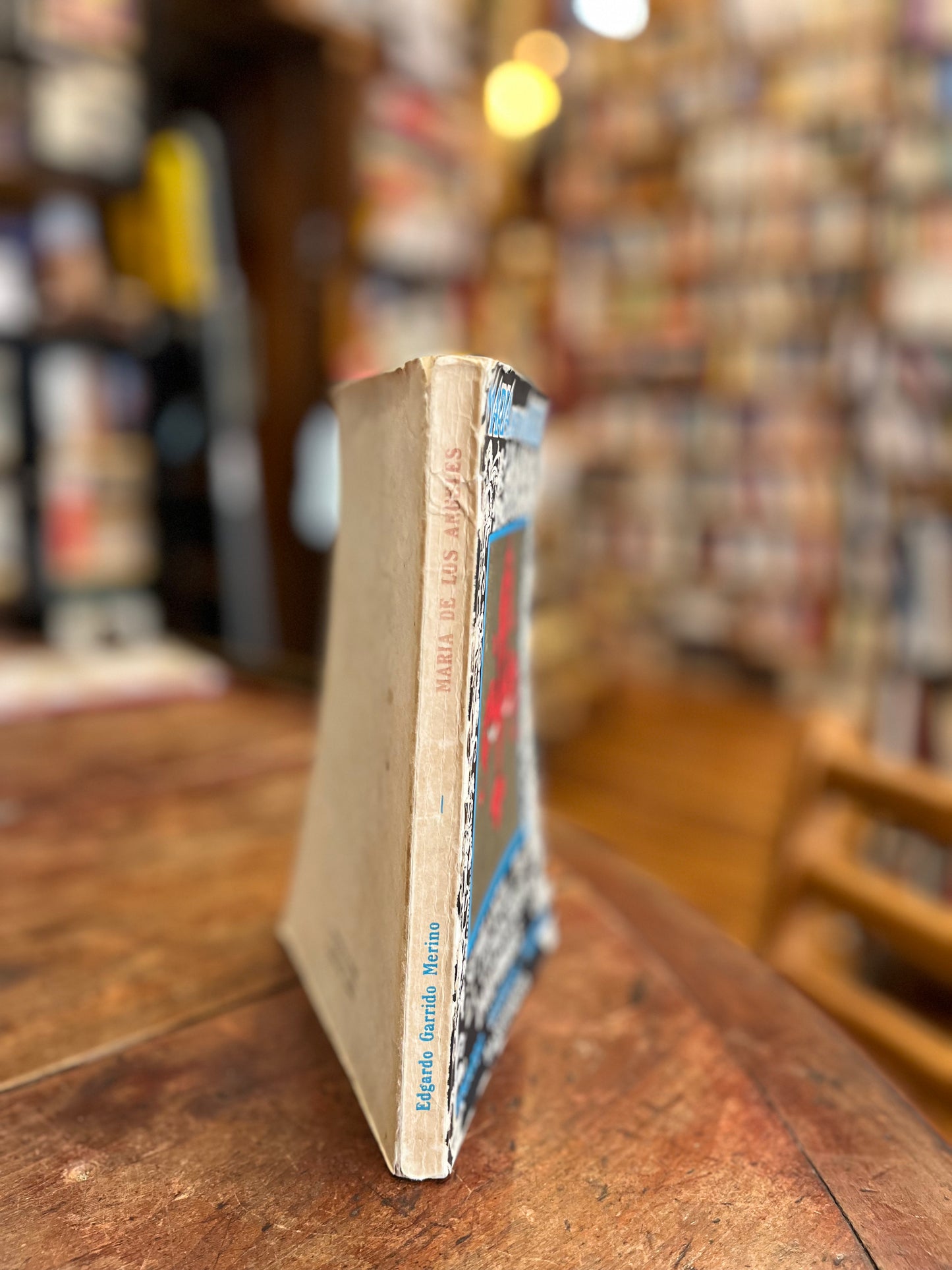 María de los Ángeles. Semblanza de la compañera