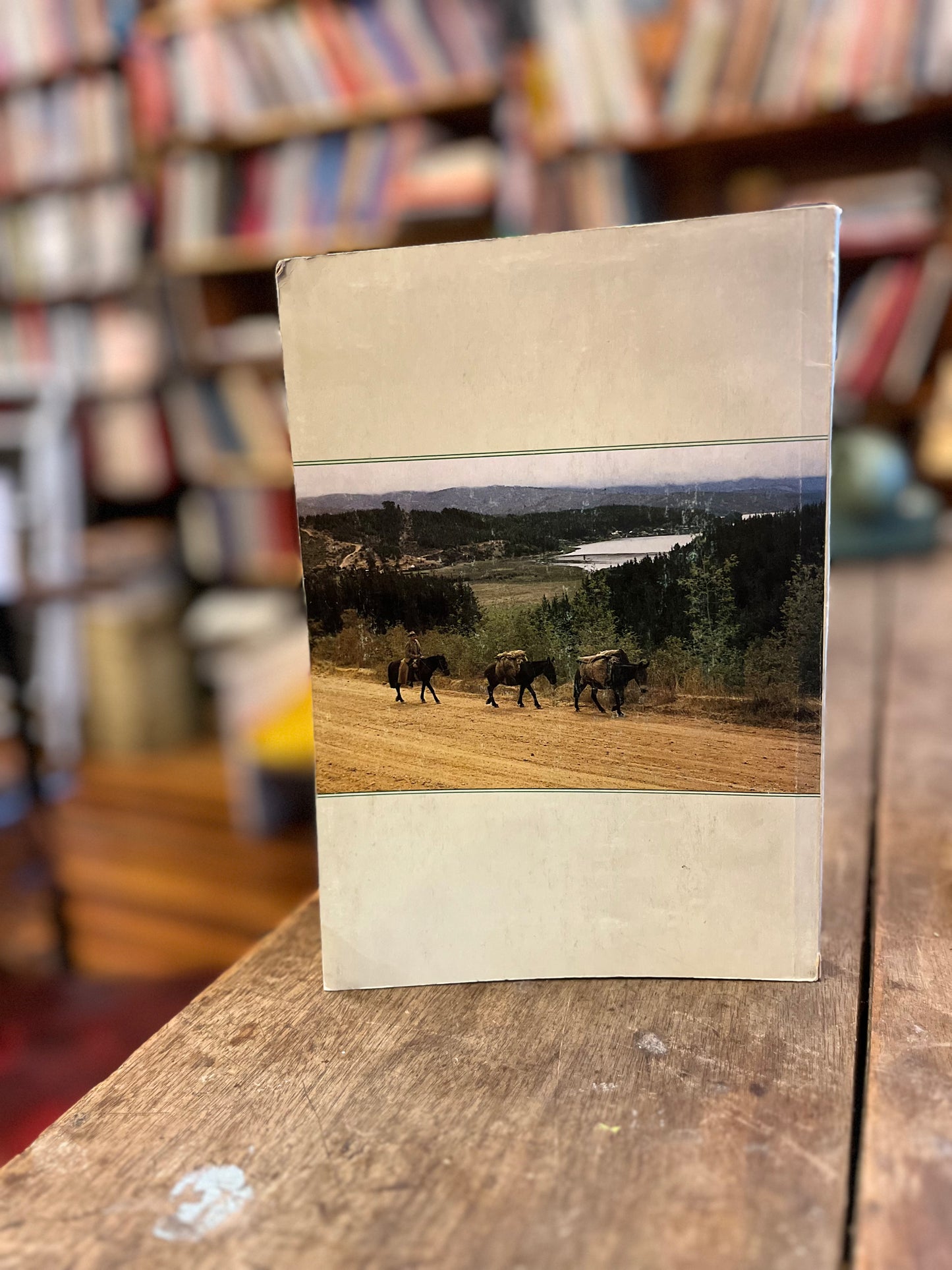 Vichuquen 400 años...