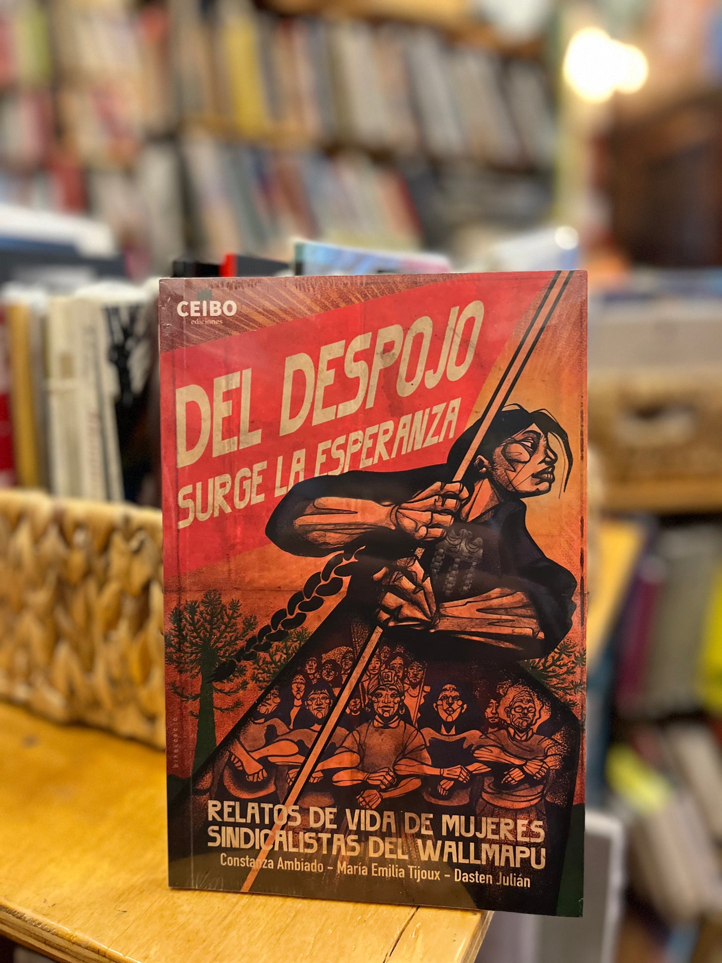 Del despojo surge la esperanza. Relatos de vida de mujeres sindicalistas en Wallmapu