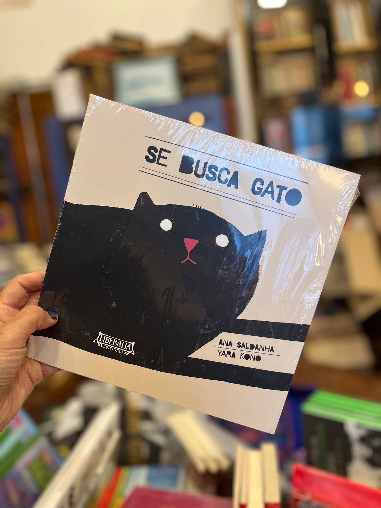 Se busca gato