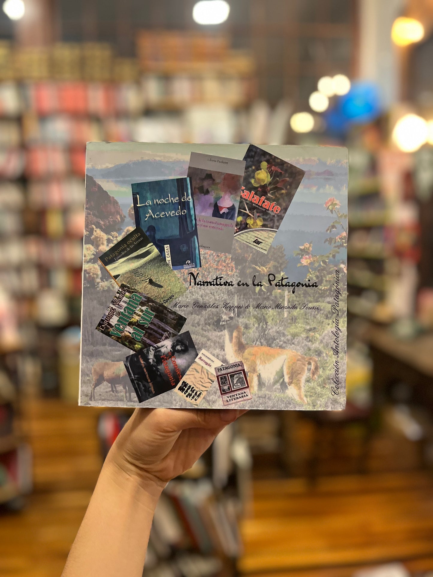 Narrativa en la Patagonia