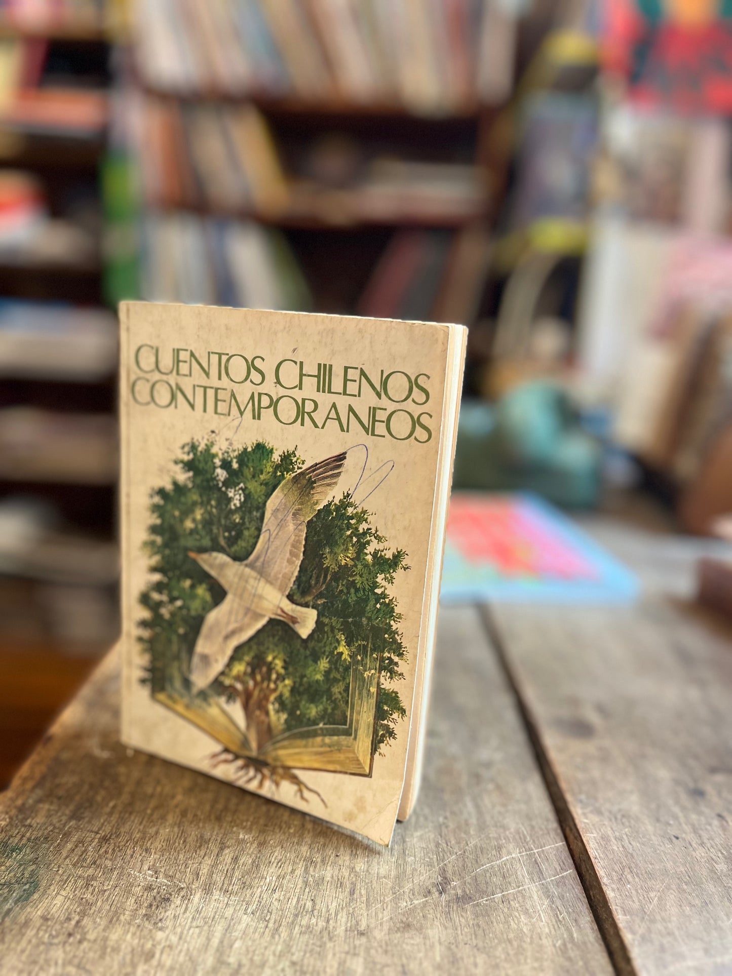 Cuentos chilenos contemporáneos