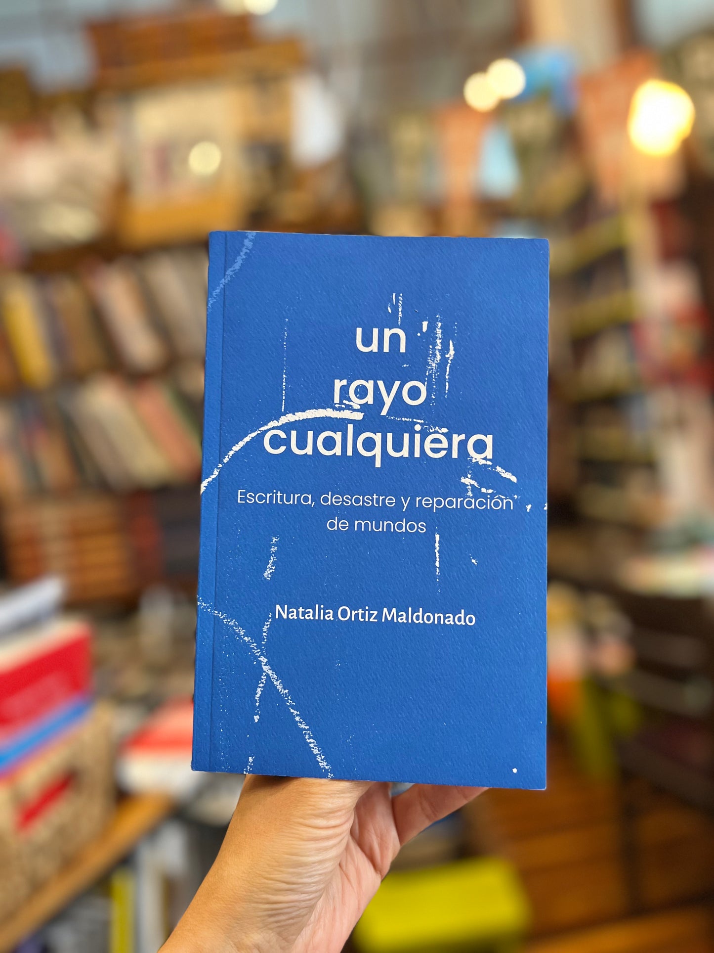 Un rayo cualquiera. Escritura, desastre y reparación de mundos