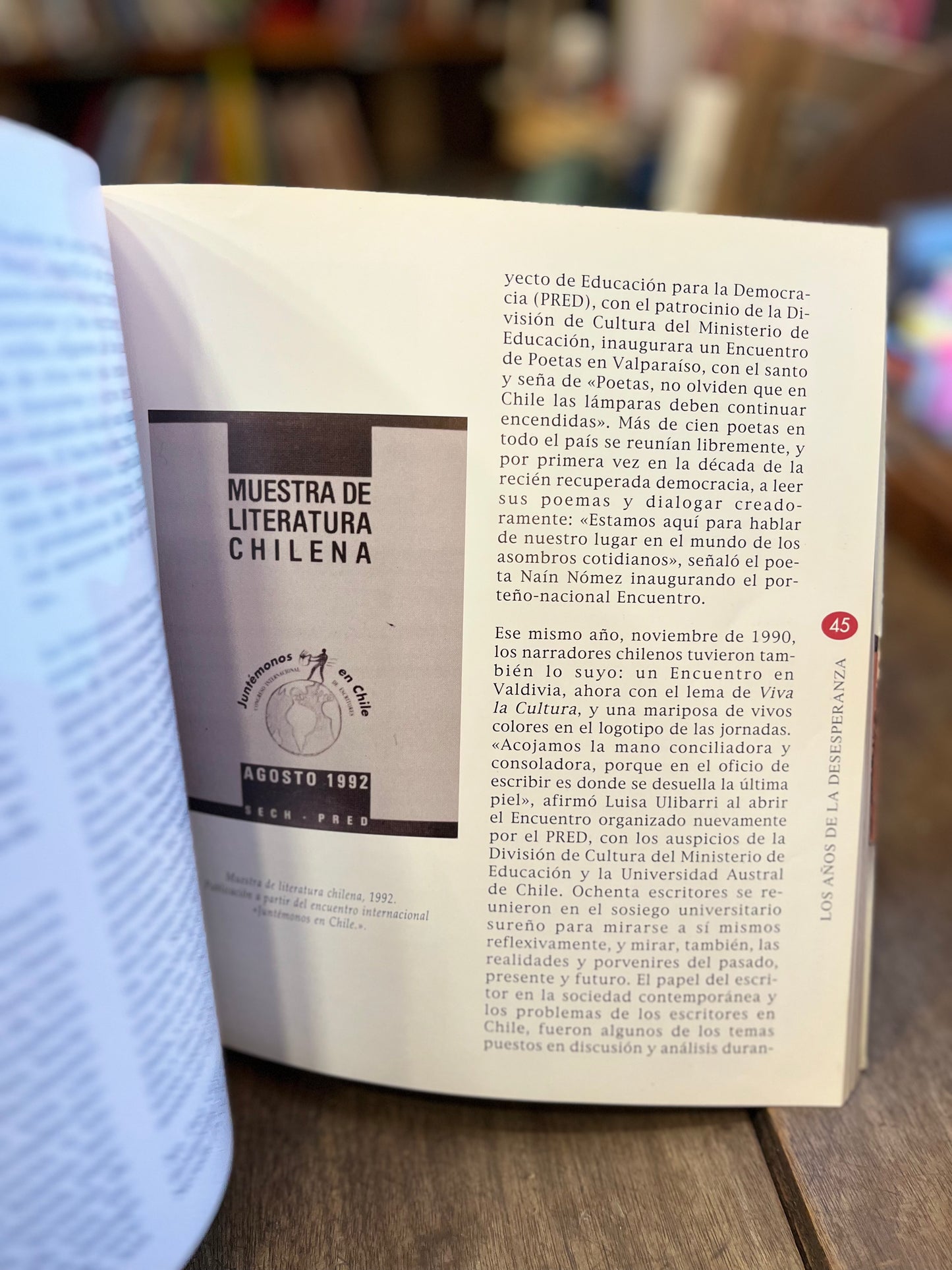 Literatura chilena. Apuntes de un tiempo 1970-1995