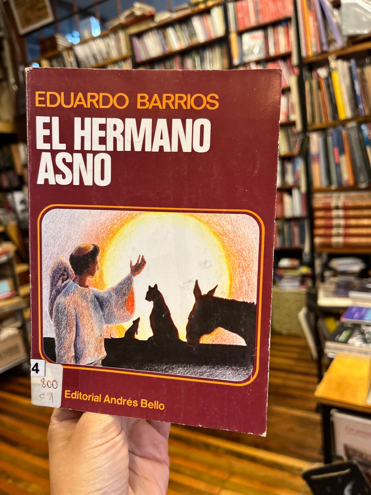 Hermano Asno
