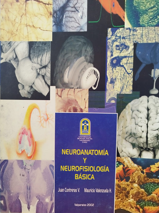 Neuroanatomia y neurofisiología básica