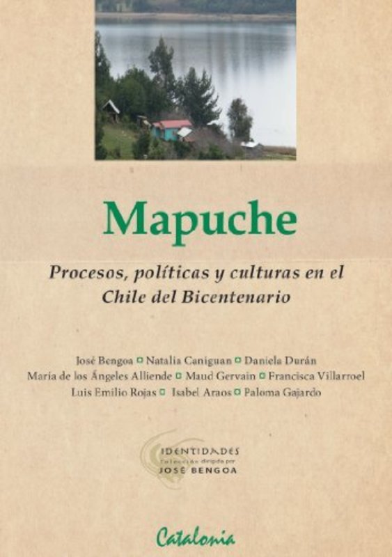 Mapuche, procesos, políticas culturas del Bicentenario