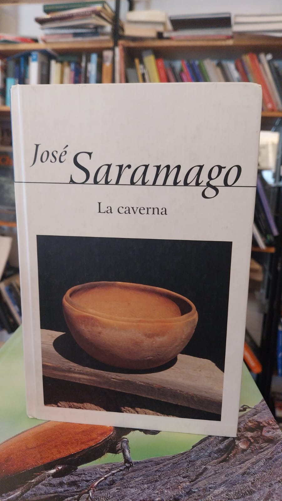 La caverna