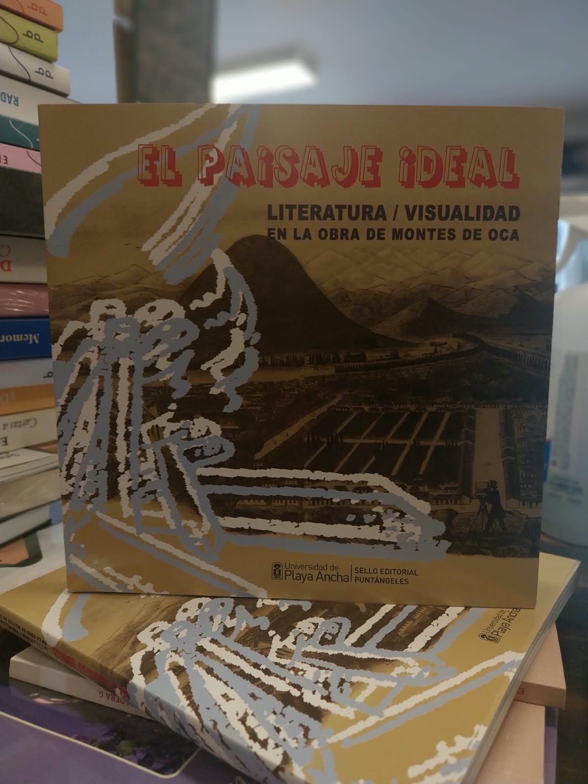 El paisaje ideal. Literatura / visualidad en la obra de Montes de Oca