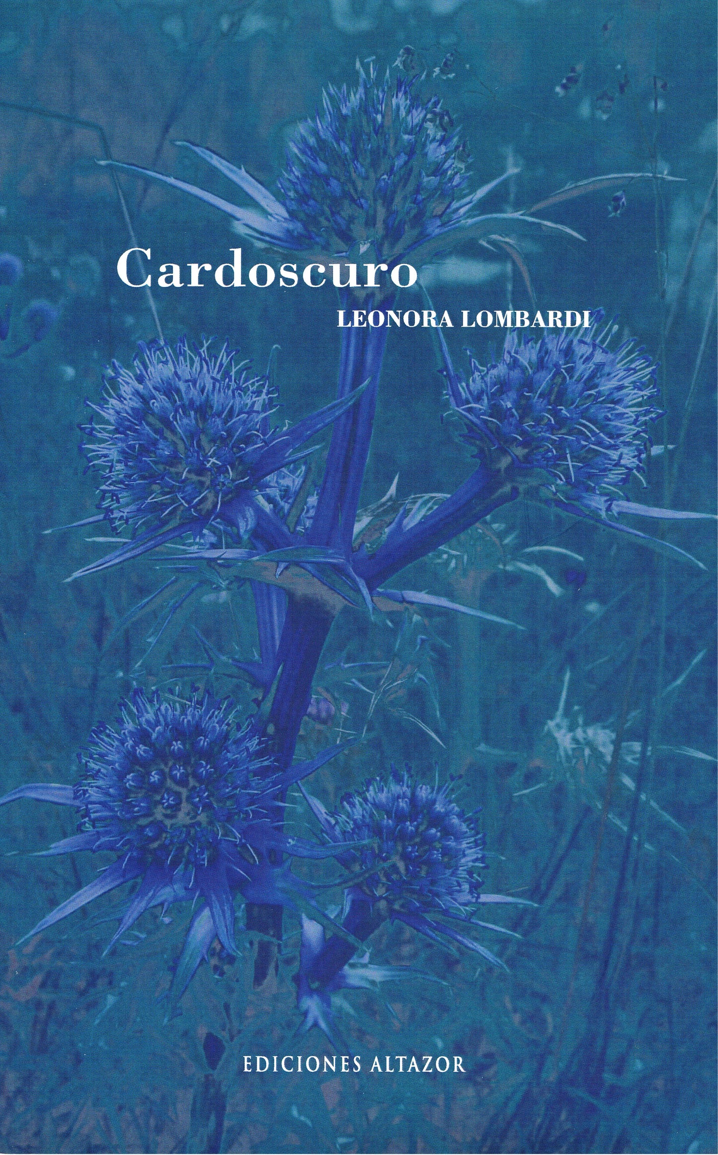 Cardoscuro
