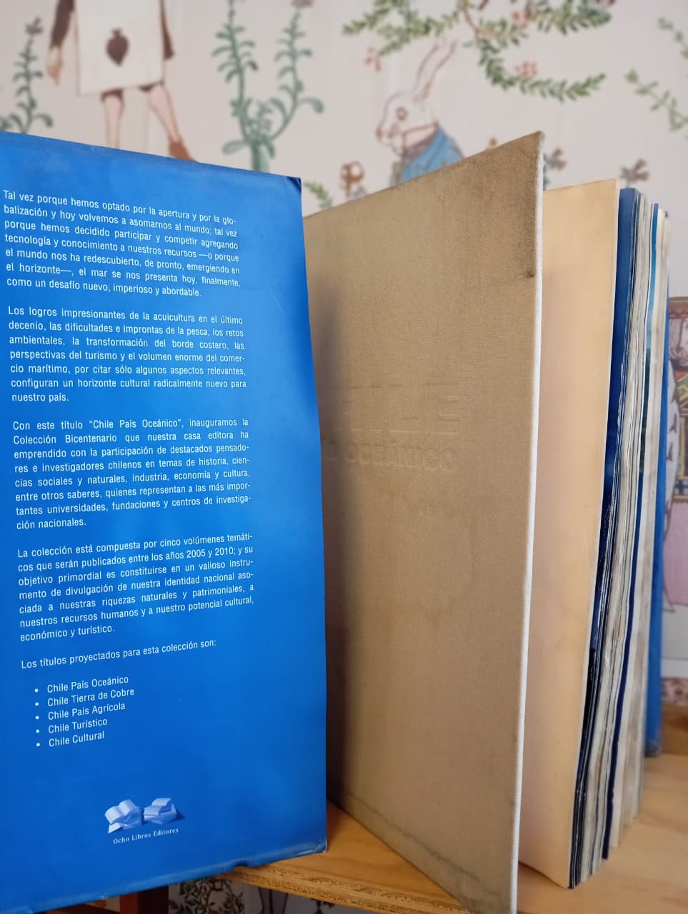 Chile, país oceánico. Libro rescatado del incendio