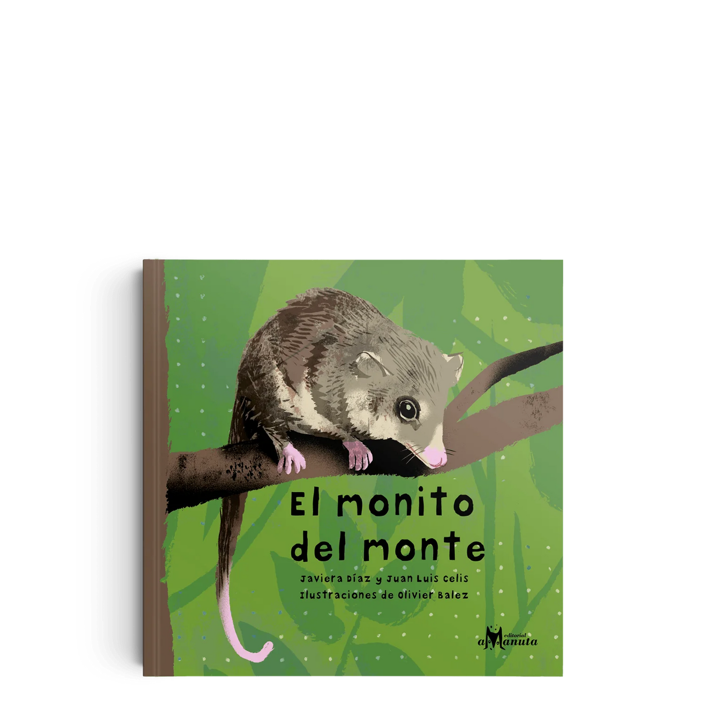 El monito del monte