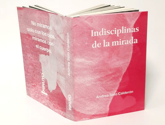 Indisciplinas de la mirada