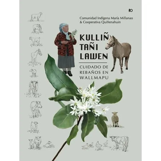 Kulliñ tañi lawen. Cuidados de rebaño en Wallmapu