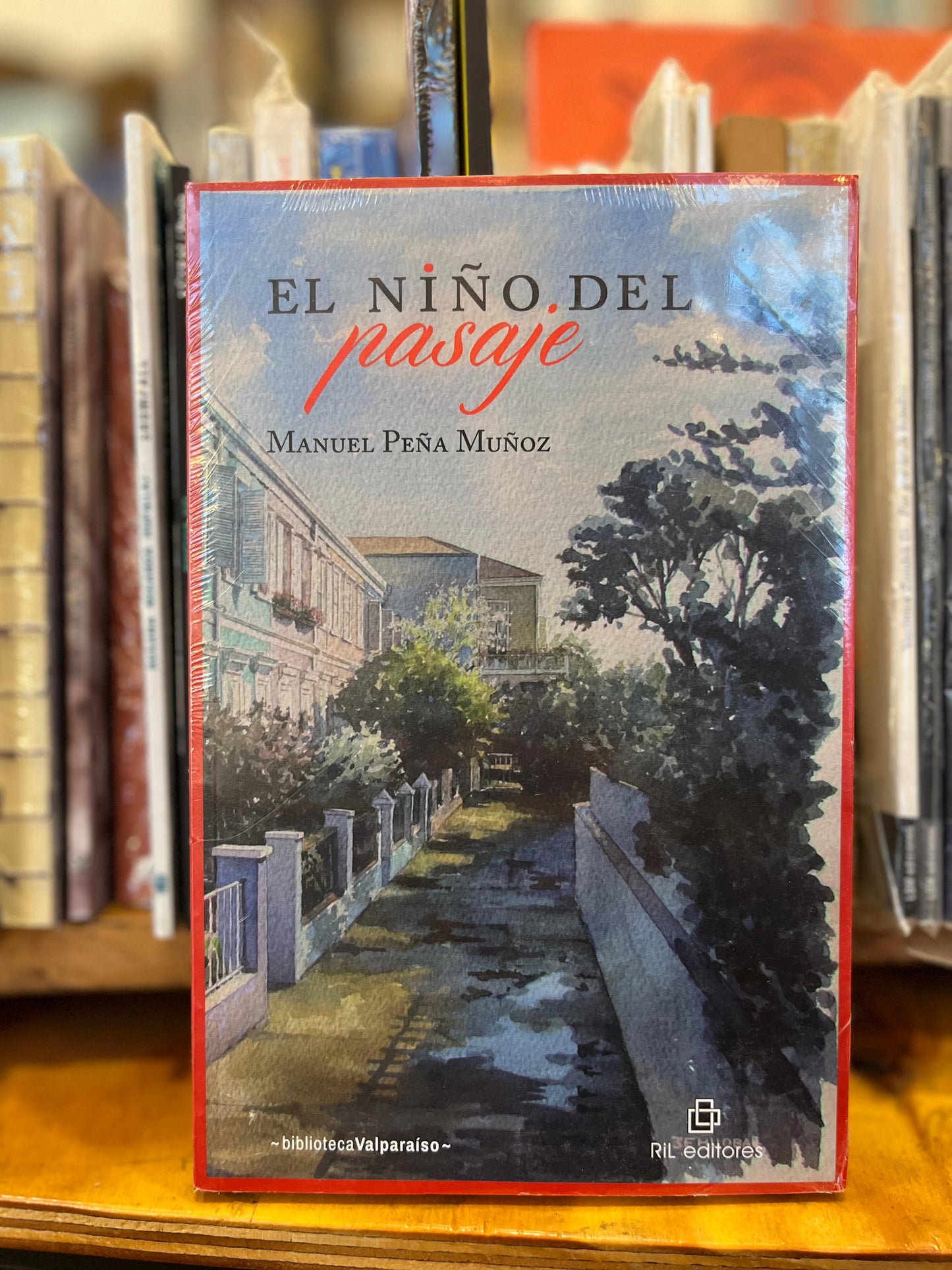 El niño del pasaje