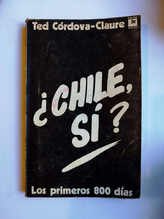 ¿Chile, sí? Los primeros 800 días