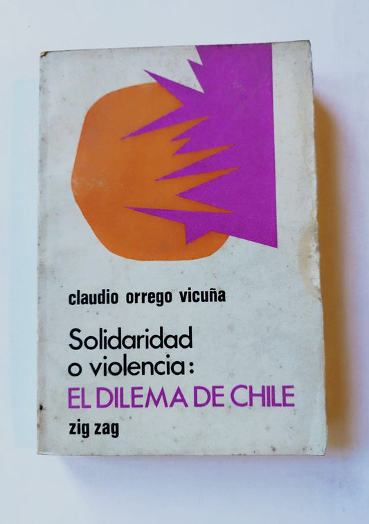 Solidaridad o violencia: el dilema de Chile